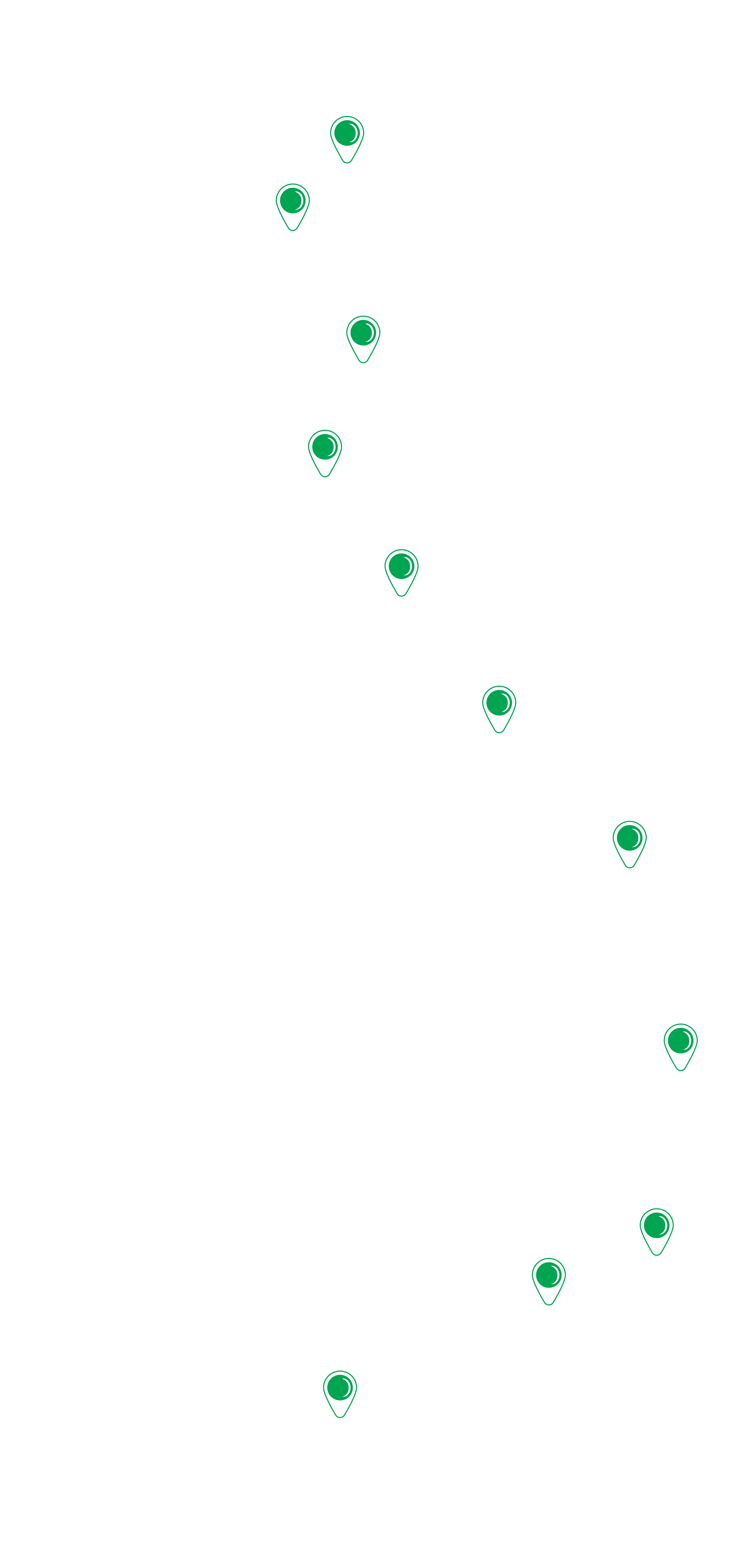 icon 21